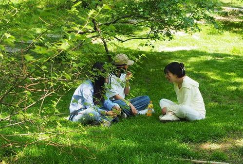 树荫在线观看,在线观看的视觉盛宴 第3张 树荫在线观看,在线观看的视觉盛宴 第3张
