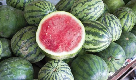 江西网红吃瓜视频播放,揭秘网络红人的幕后故事  第2张