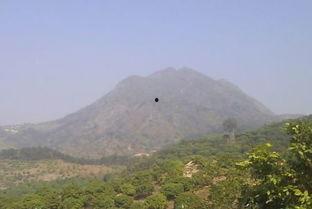 网友爆料莲花山事件视频,网友爆料视频揭示惊人真相  第3张